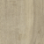 Elm